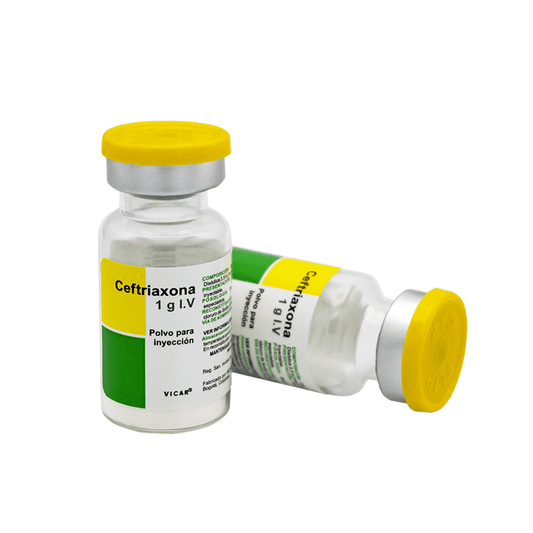 CEFTRIAXONA 1GR