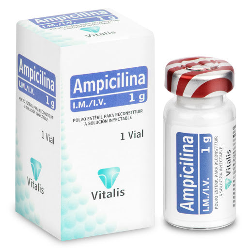 AMPICILINA 1 GR X 1 AMP
